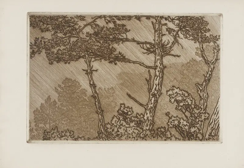 Träd i regnskur av Henri Rivière