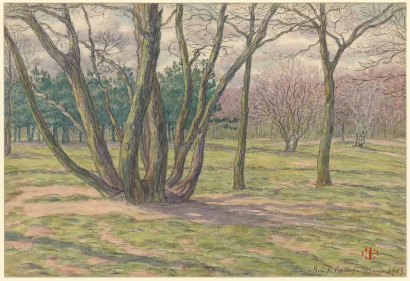 Bois de Boulogne, 1903 – nr 2 av Henri Rivière