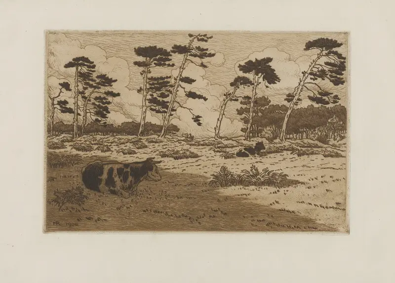 Hedland kantat av tallar av Henri Rivière