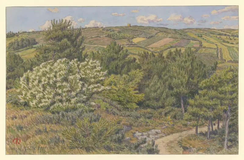Morgat (petit bois à Morgat) av Henri Rivière