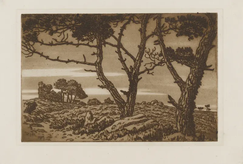 Gamla träd på heden under mulen himmel av Henri Rivière