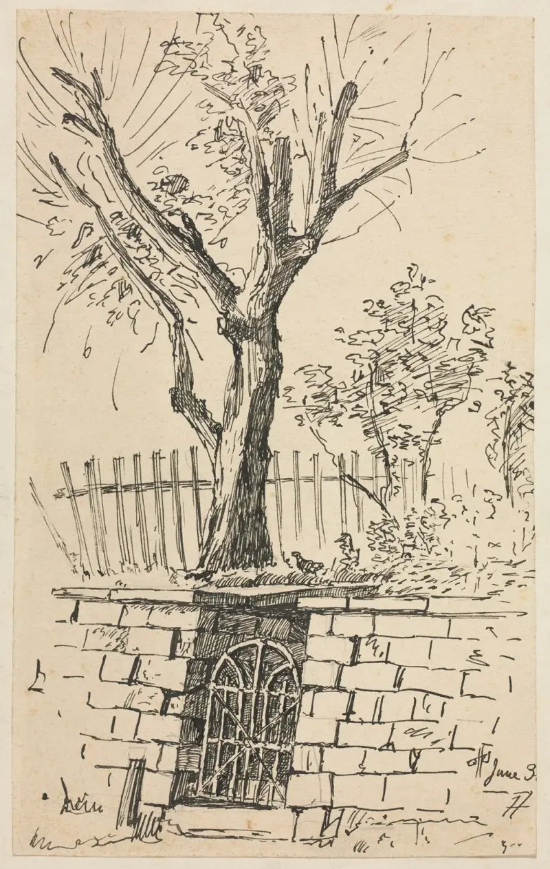 Tree on Top of a Stone Wall, Cleveland av Otto Henry Bacher