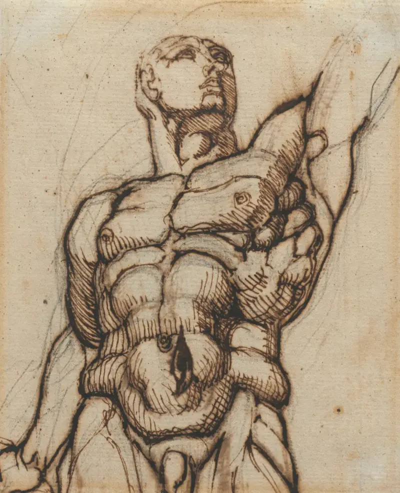 Studie av en av Quirinalens Dioskurer av Henry Fuseli