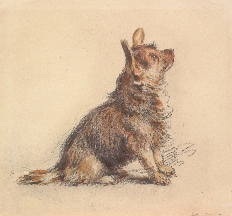 A Terrier Sitting, Looking Up to Right av William Henry Hunt