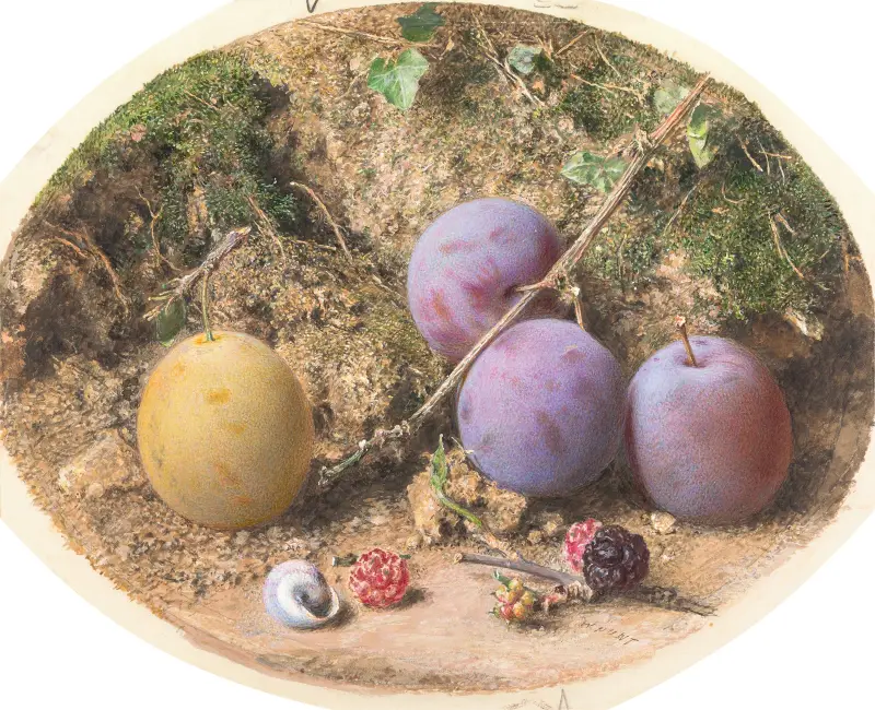 Pflaumen und Maulbeeren von William Henry Hunt