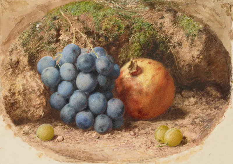 Still Life with Grapes and a Pomegranate av William Henry Hunt