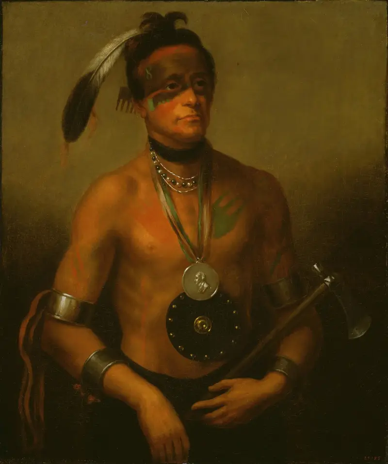 Hoo-Wan-Ne-Ka (Mały Łoś), Henry Inman