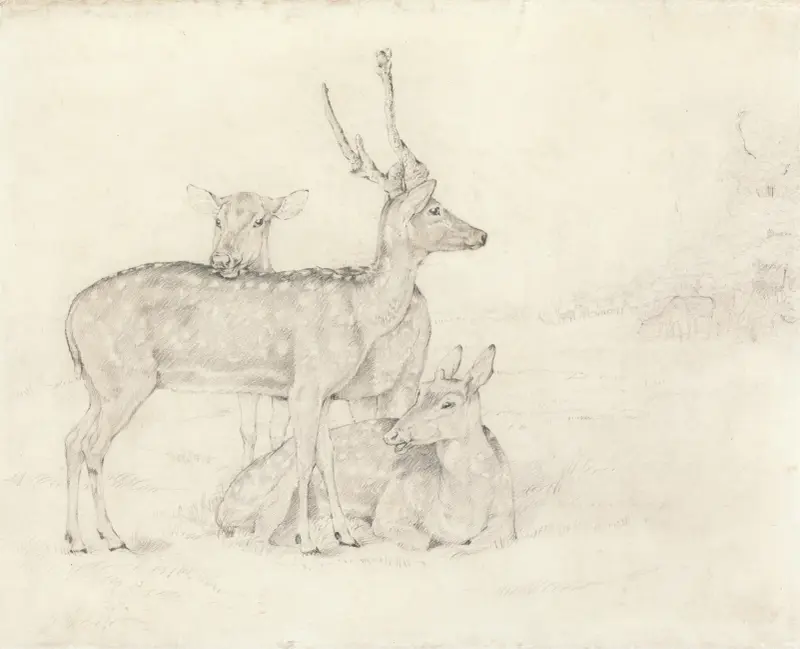 En hjord hjortar som betar i en park av Sir Edwin Henry Landseer
