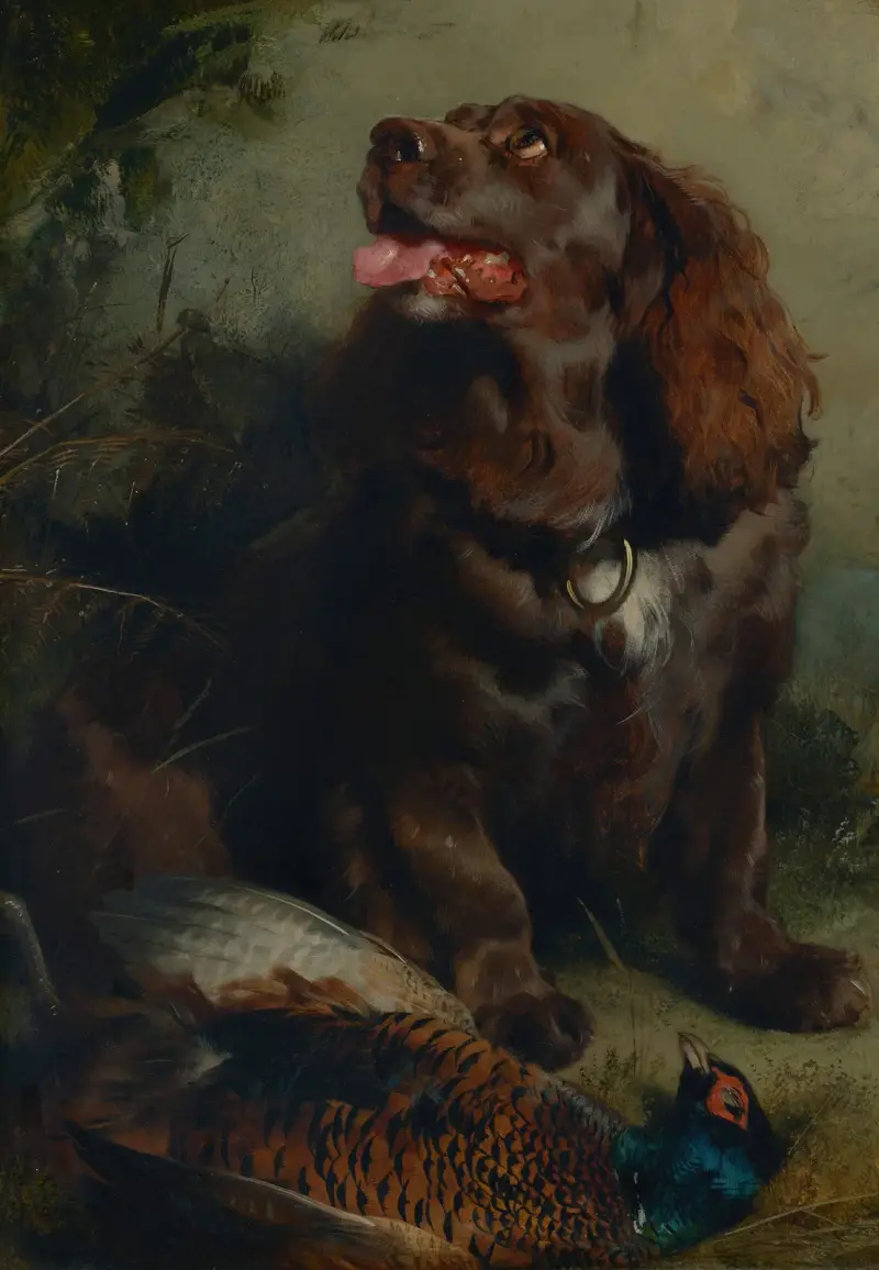 En Sussex spaniel och en fasan av Sir Edwin Henry Landseer