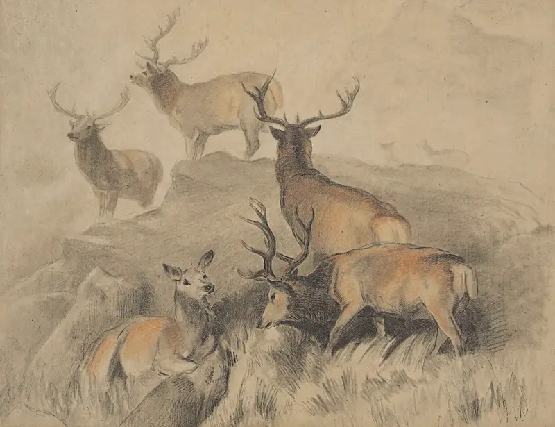 Några av skogens bästa hjortar av Sir Edwin Henry Landseer