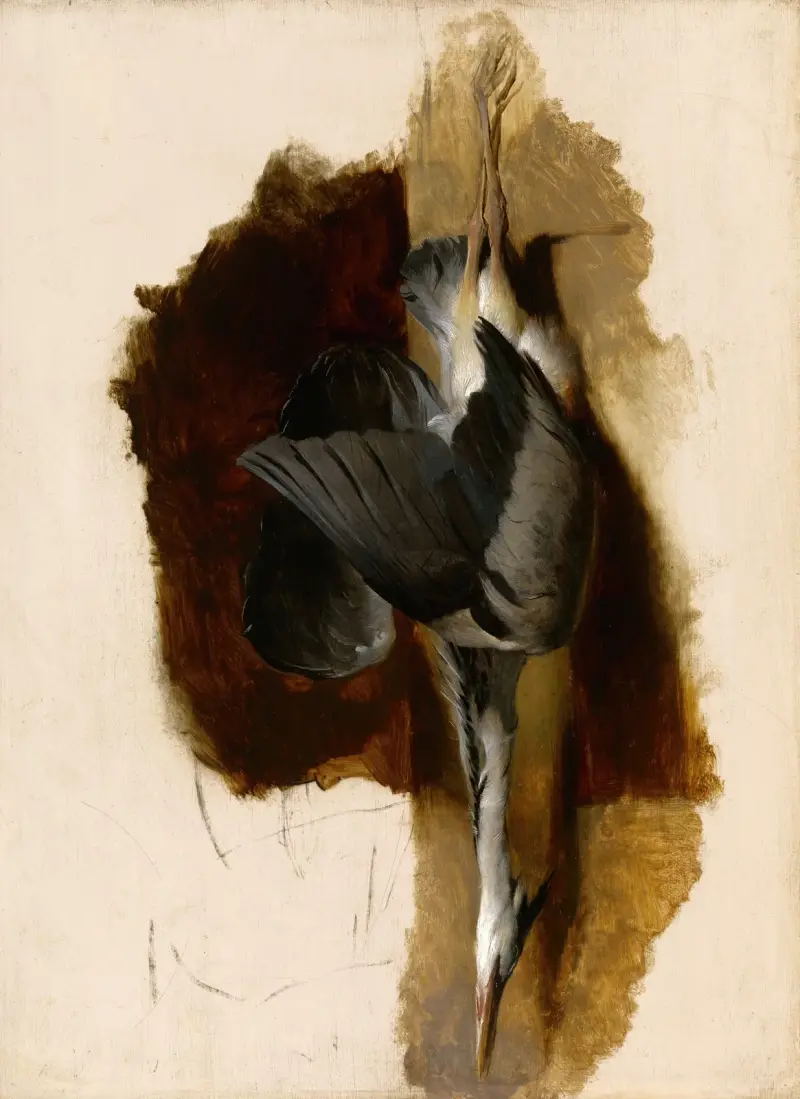 Studie av en död häger av Sir Edwin Henry Landseer