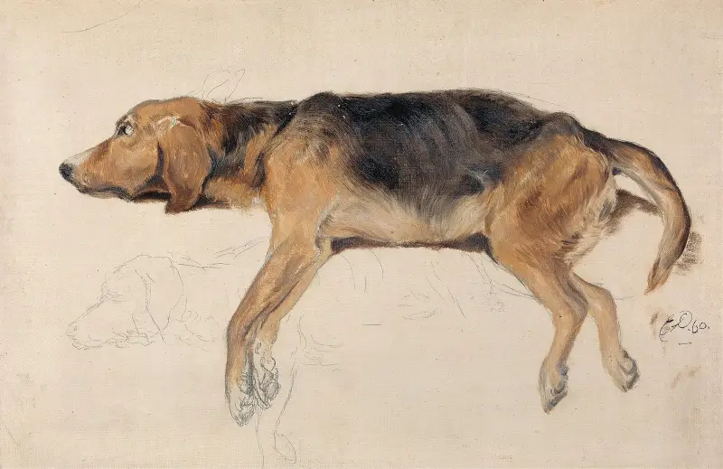 Studie av en liggande hund av Sir Edwin Henry Landseer