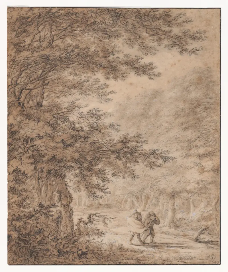 Vandrare i en skog av Herman Saftleven