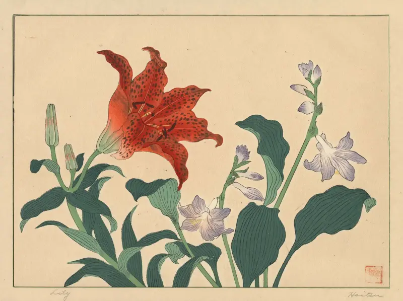 Lilie, Sakai Hōitsu