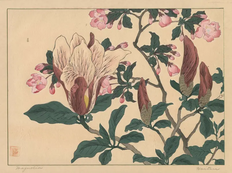 Magnolie von Sakai Hōitsu