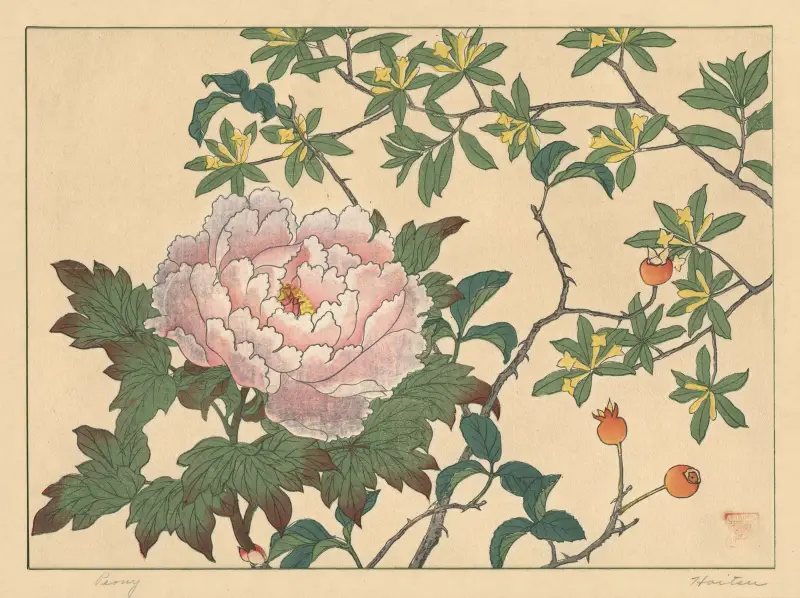 Pfingstrose von Sakai Hōitsu