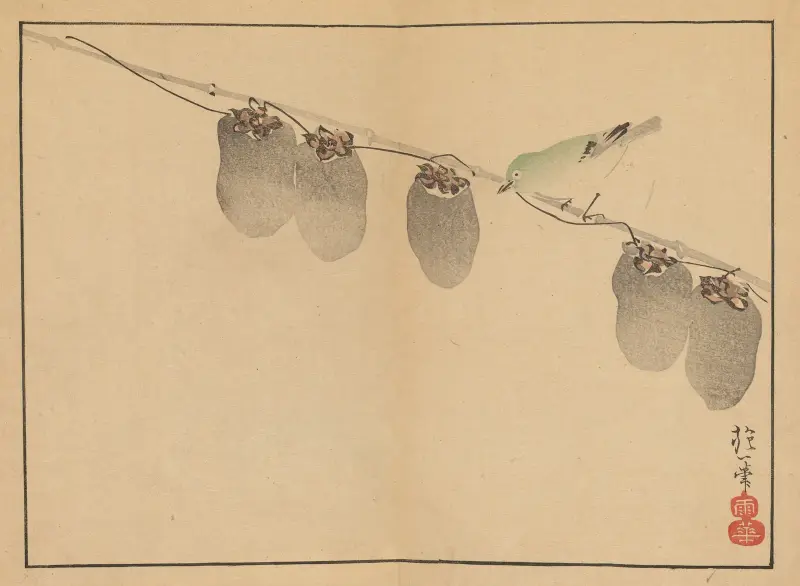 Sakai Hōitsu gajō, Pl.13 av Sakai Hōitsu