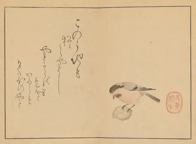 Sakai Hōitsu gajō, Pl.17 av Sakai Hōitsu