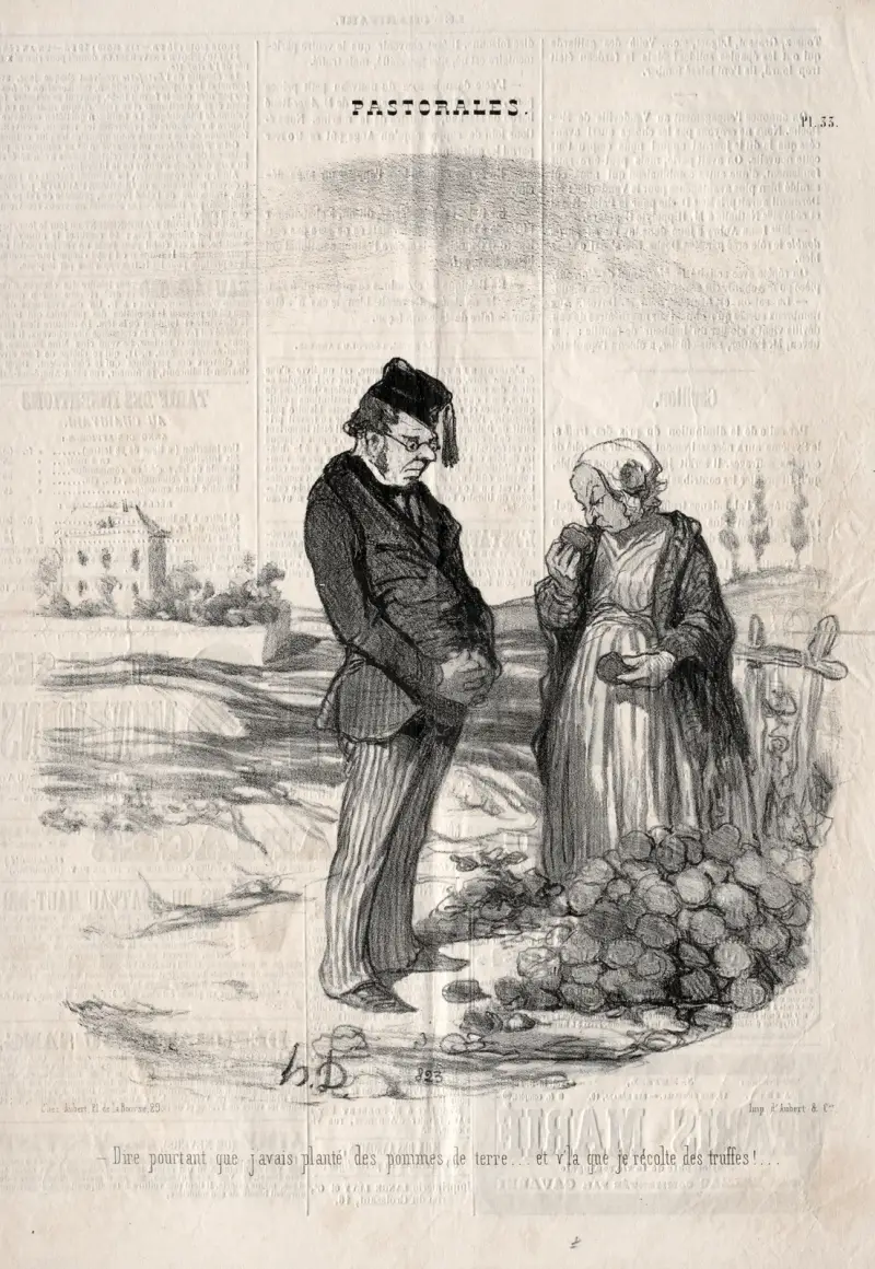How strange…. I had planted potatoes, and here I am harvesting truffles! av Honoré Daumier