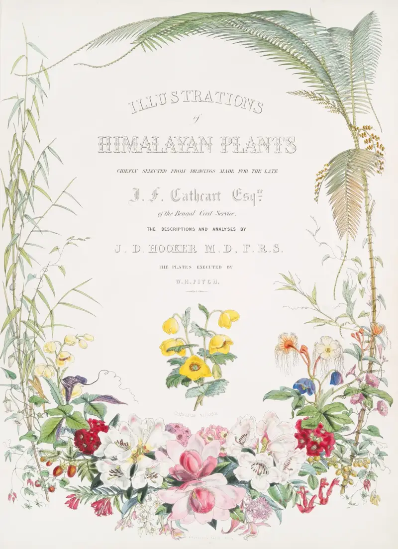 Illustrations of Himalayan plants…, [Title page], Walter Hood Fitch