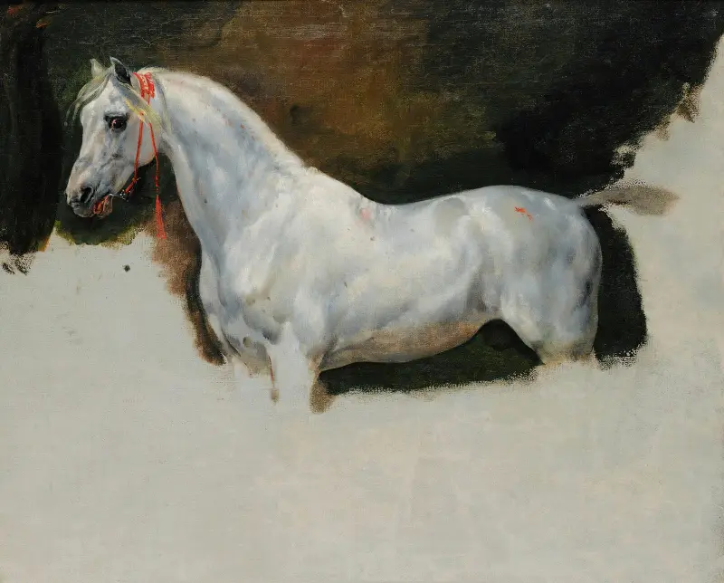 Studie av en vit häst av Horace Vernet
