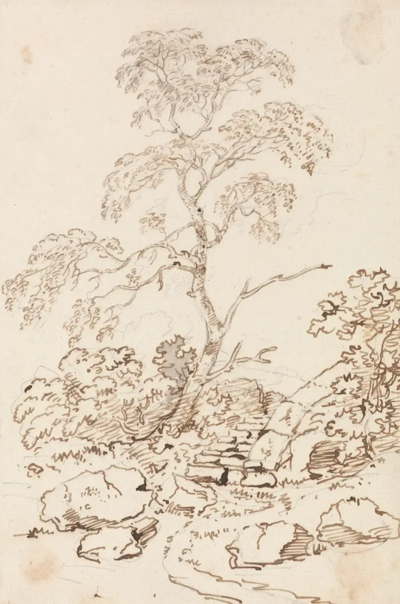Drzewo przy schodach, George Howland Beaumont