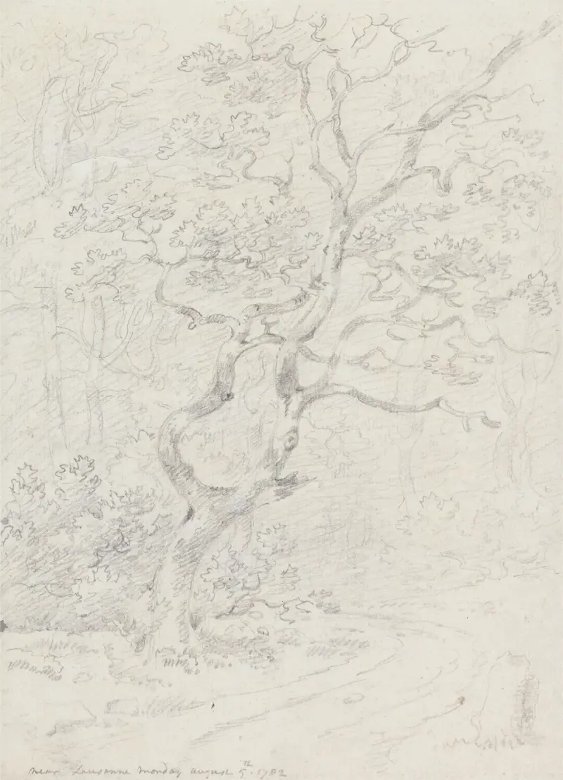 Trees, Near Lausanne av George Howland Beaumont
