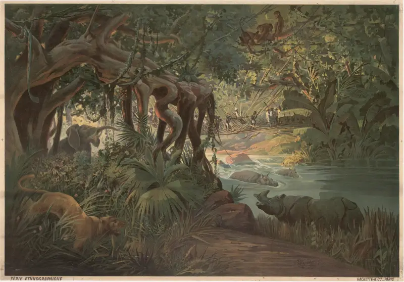 Tropische Region (Kongo) von Frederic Hugo d’Alési