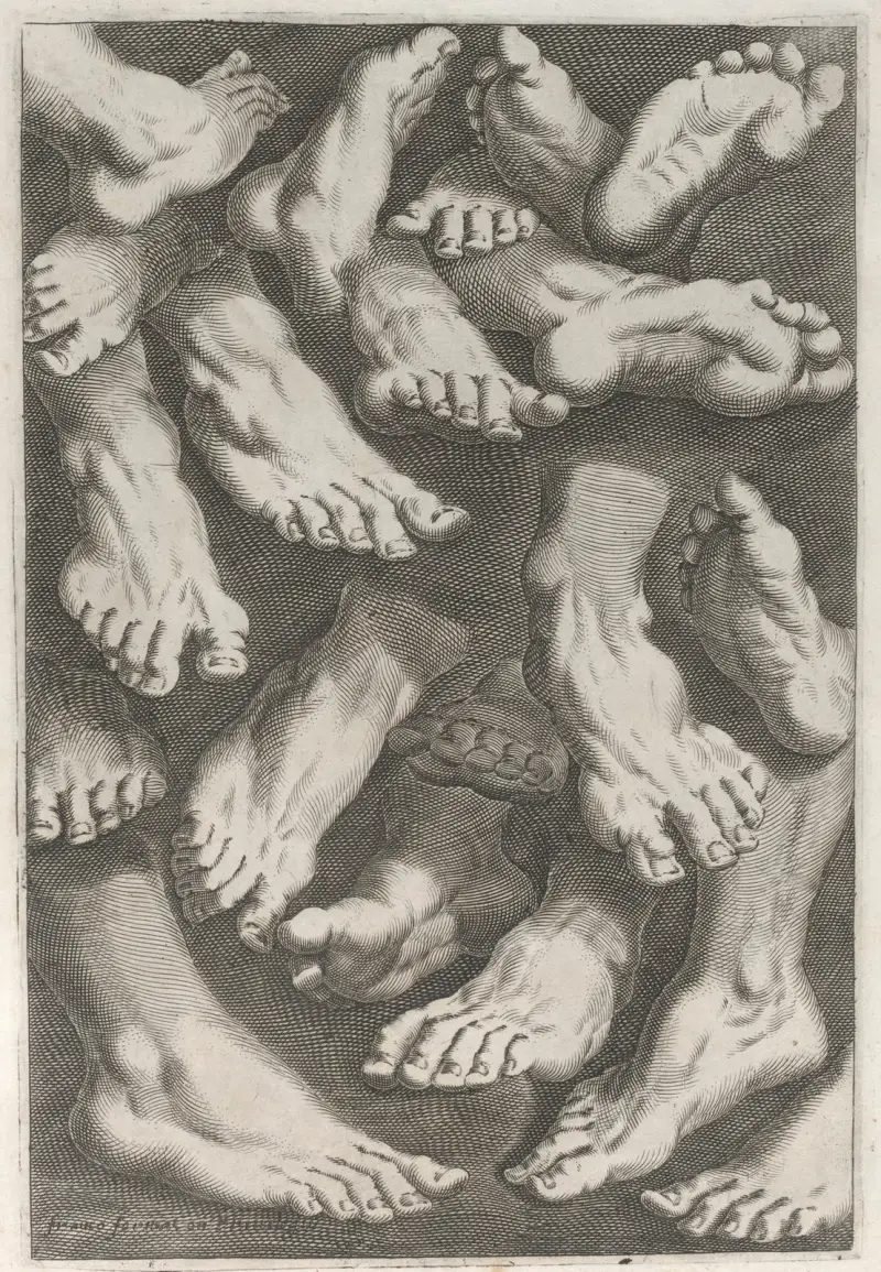 Regole per Imparar a Disegnar i corpi humani Pl.09 av Jacopo Palma il Giovane