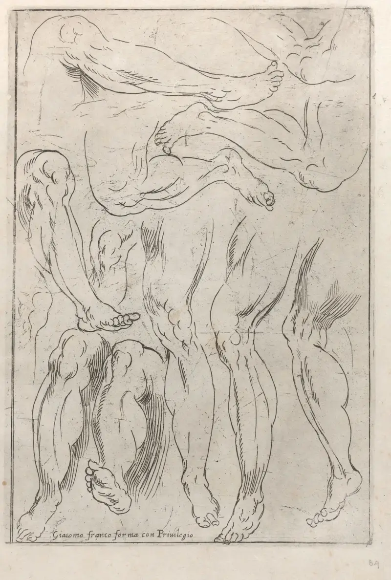 Regeln, um den menschlichen Körper zeichnen zu lernen, Taf. 11 von Jacopo Palma il Giovane