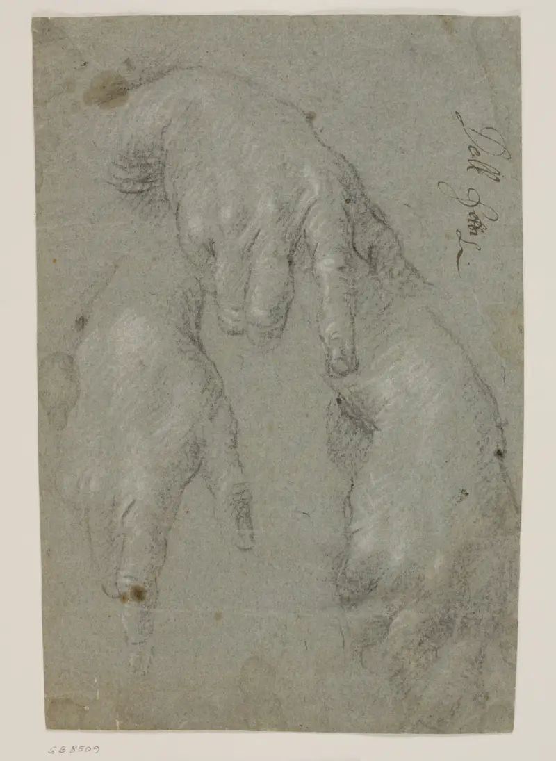 Tre studier av en högerhand av Jacopo Palma il Giovane