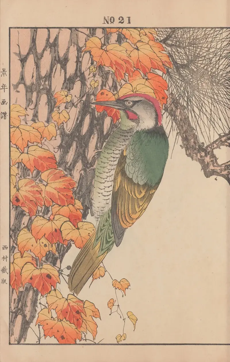 Keinen kachō gafu Pl.145 av Imao Keinen