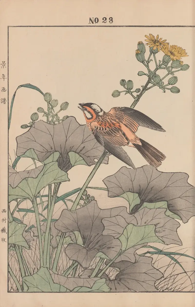 Keinen kachō gafu Pl.147 av Imao Keinen