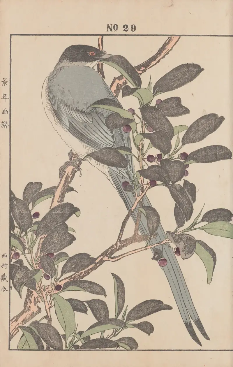 Keinen kachō gafu Pl.157 av Imao Keinen