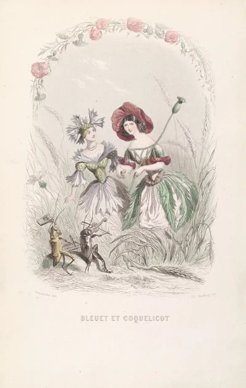 Bleuet et Coquelicot av J. J. Grandville