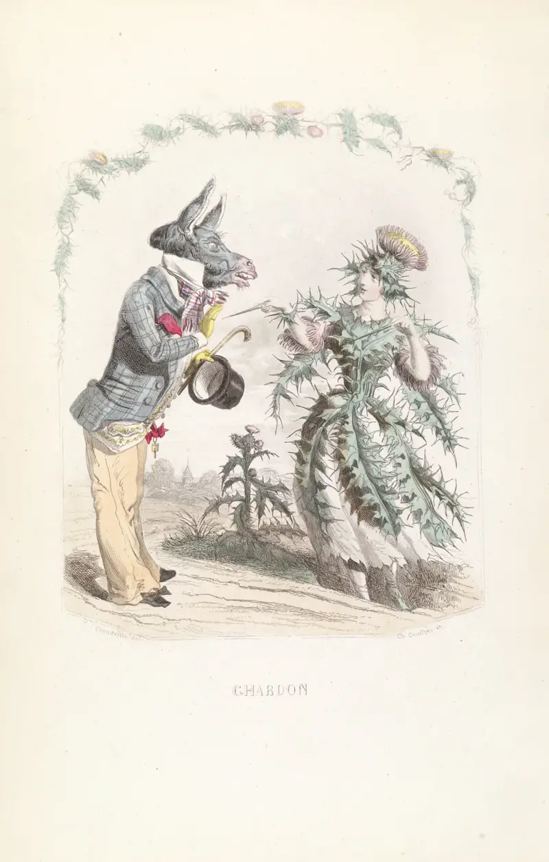 Bodlák, J. J. Grandville