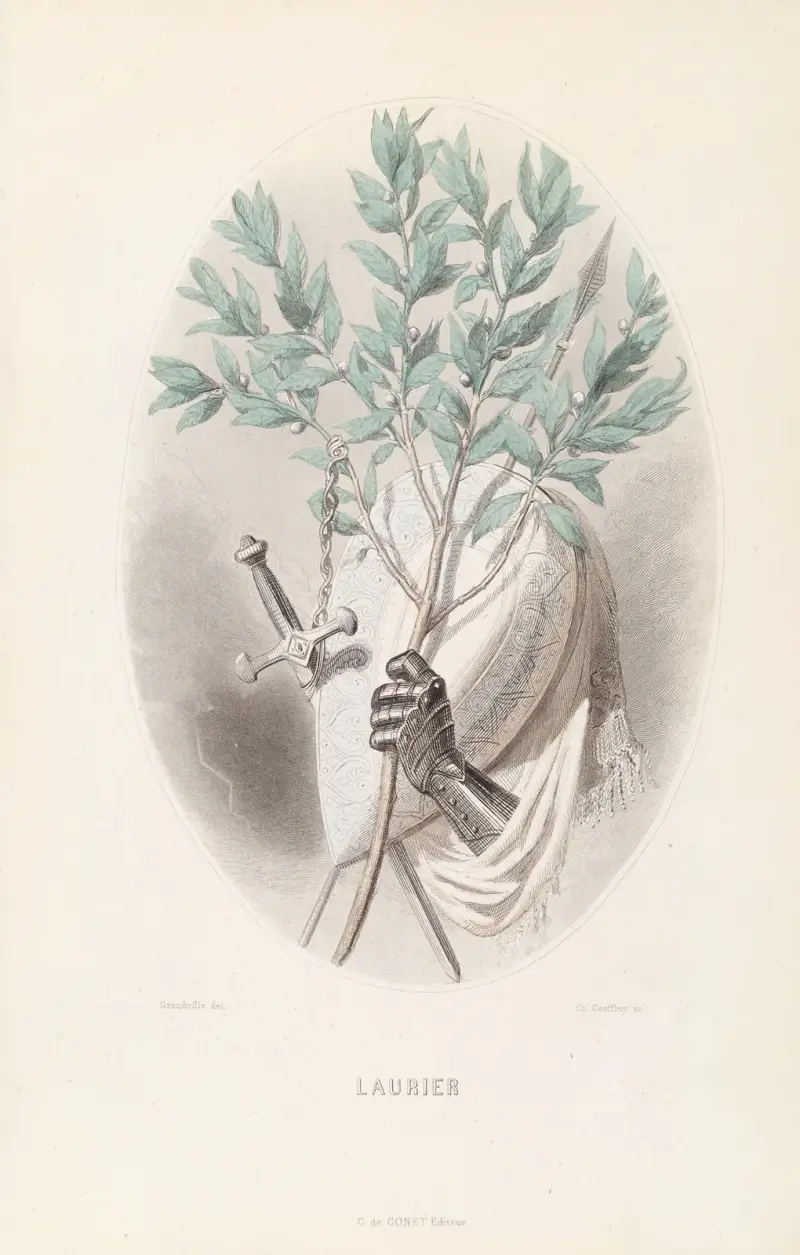Laur, J. J. Grandville