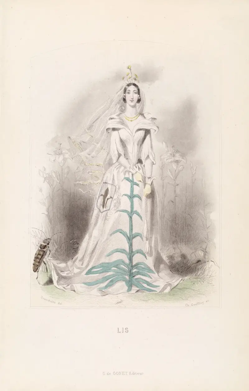 Lis, J. J. Grandville