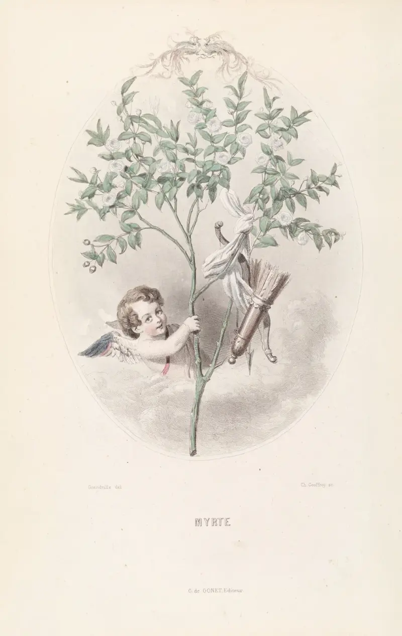 Myrte von J. J. Grandville