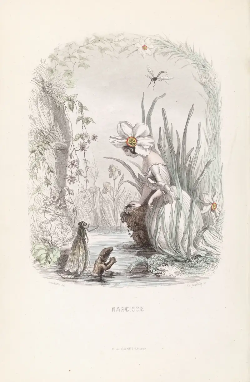 Narcisse, J. J. Grandville
