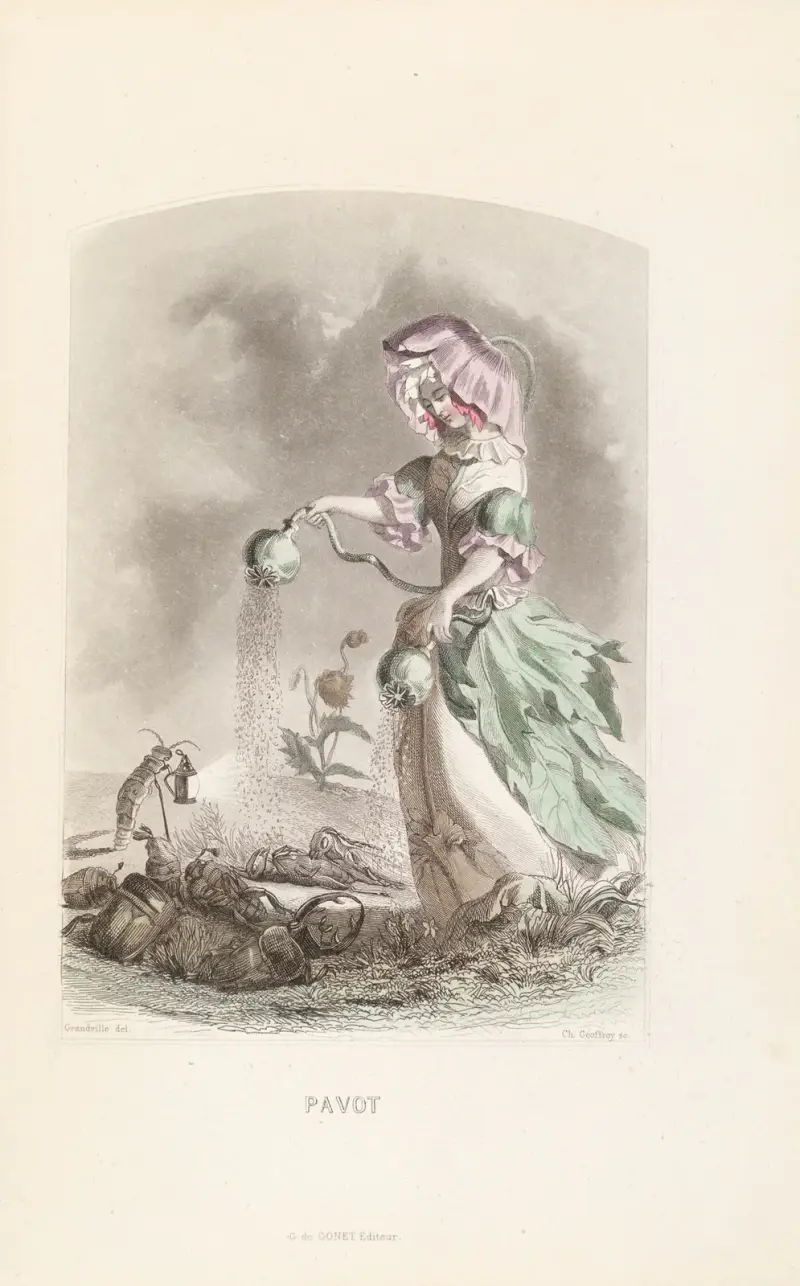 Mak, J. J. Grandville