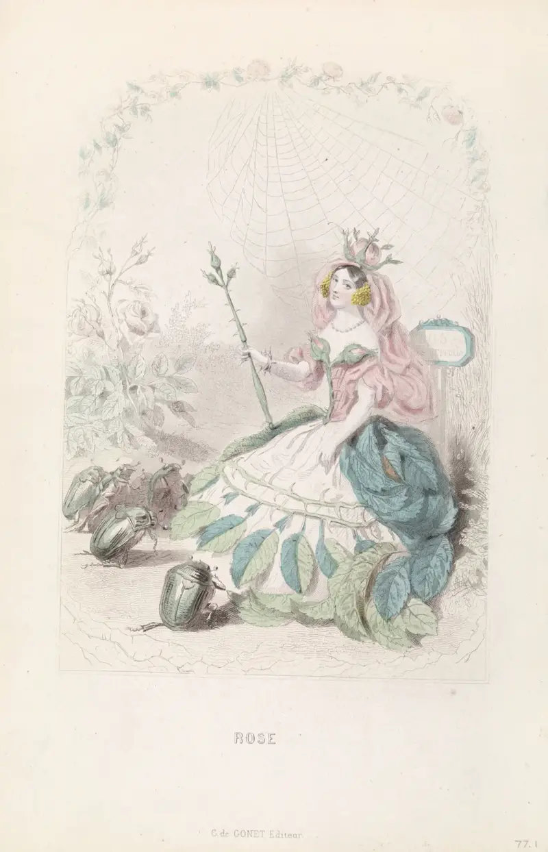 Rose von J. J. Grandville