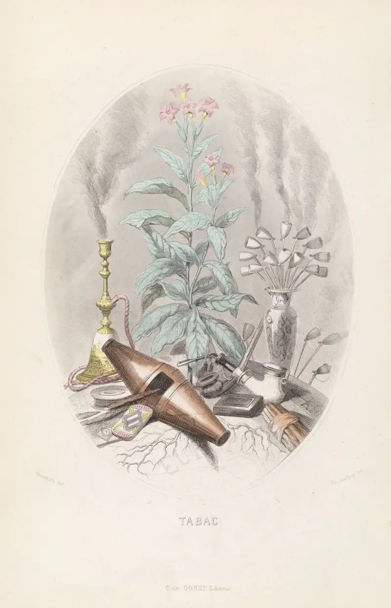 Tabak von J. J. Grandville