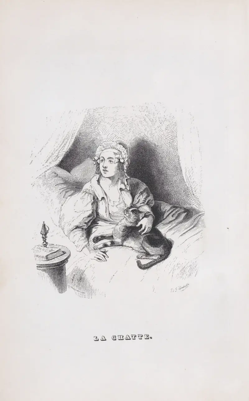 Den kvinnliga katten av J. J. Grandville