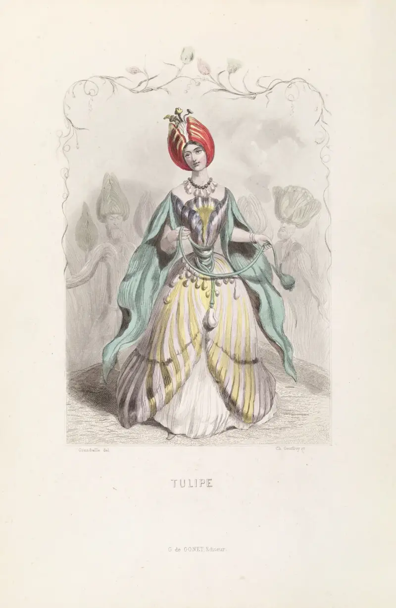 Tulpe von J. J. Grandville