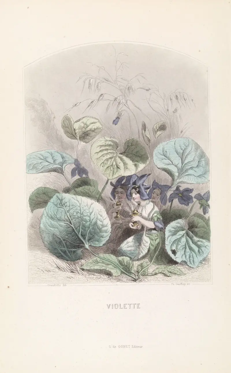 Fialka, J. J. Grandville