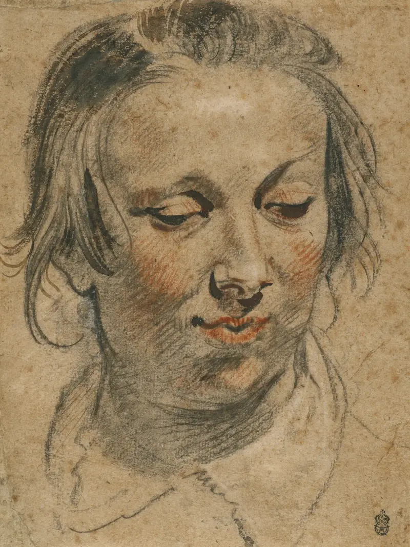 Kvinnohuvud av Jacob Jordaens