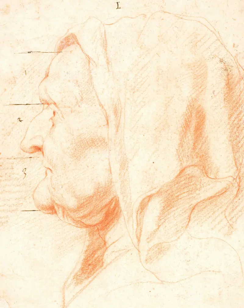 Gammal kvinnas huvud, i vänster profil av Jacob Jordaens