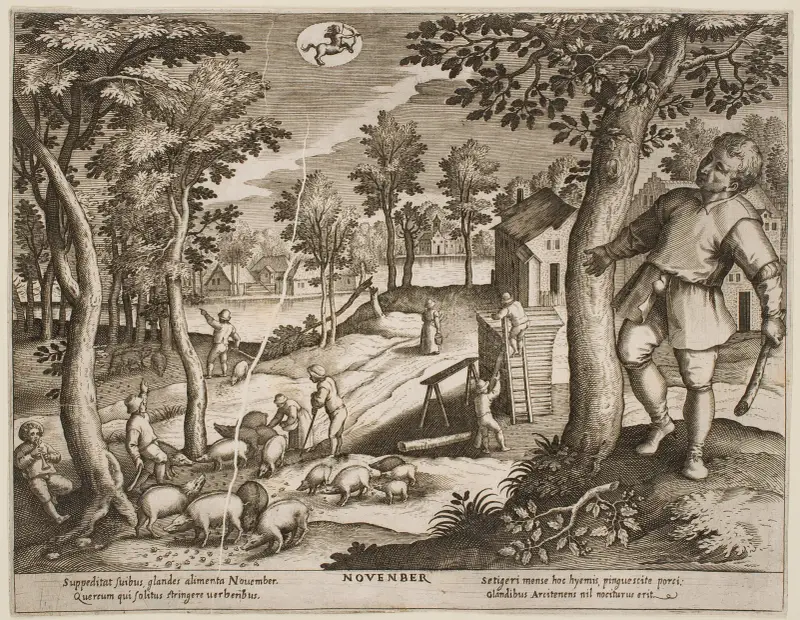 November av Jacques Callot