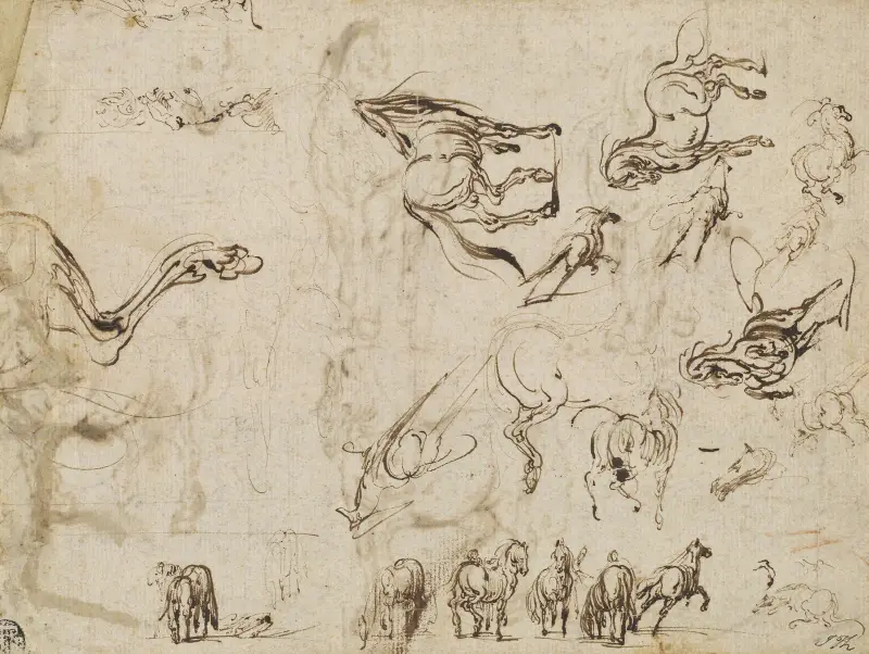 Häststudier (baksida) av Jacques Callot